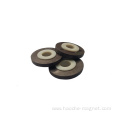 Radial Magnetization 16 Poles Ferrite Magnetic Ring